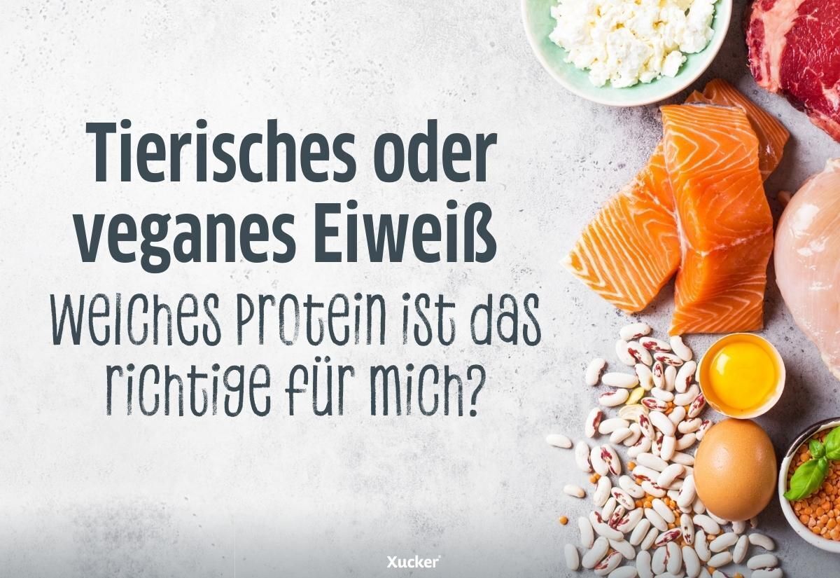 Tierisches oder veganes Eiweiß – Welches Protein ist das richtige für mich? Tierisches oder veganes Eiweiß – Welches Protein ist das richtige für mich?